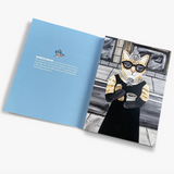 Cat Correspondence Cards, 20 Postcards (2 Each 10 Styles)