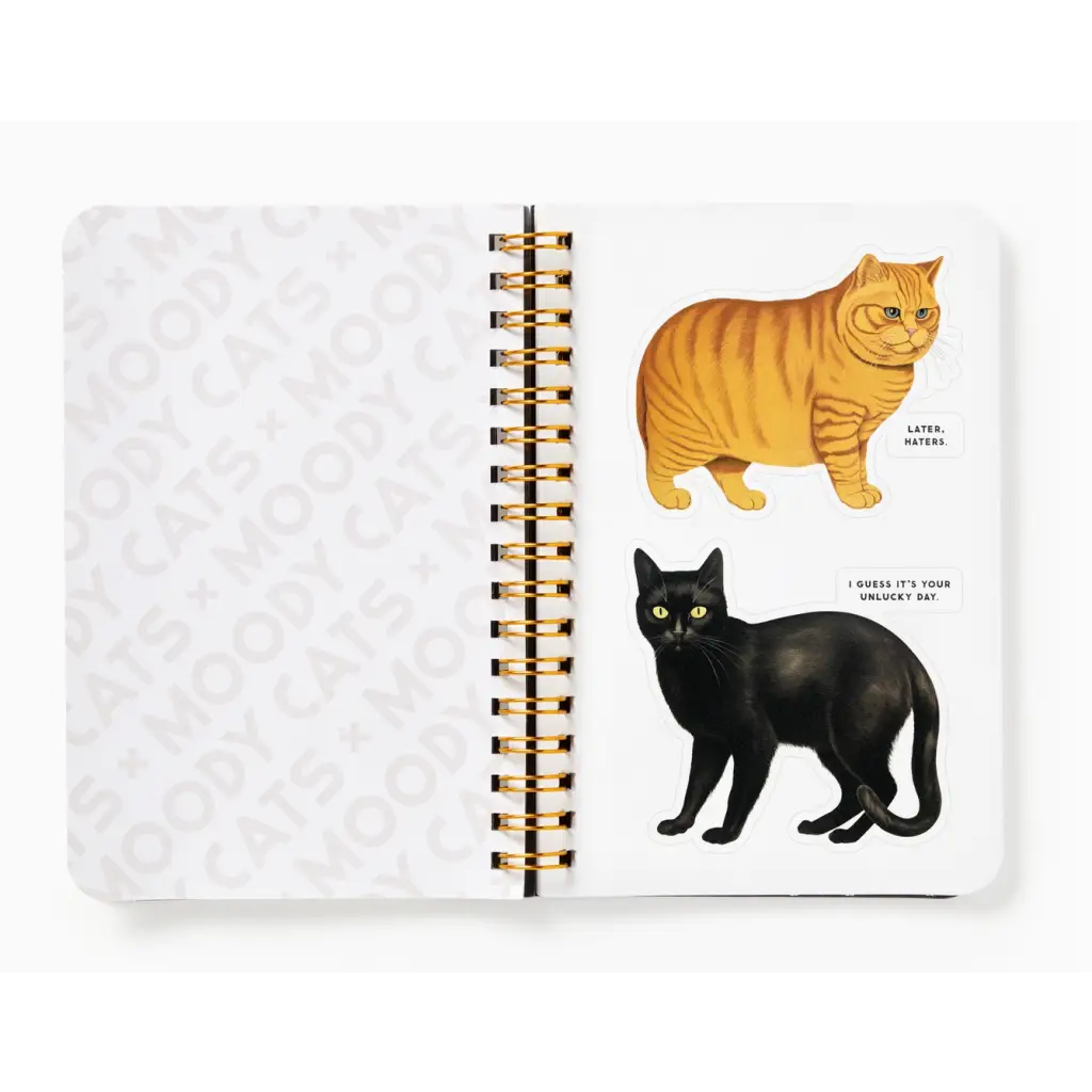 Open Moody Cats Sticker Book with cute cat illustrations and polished prints