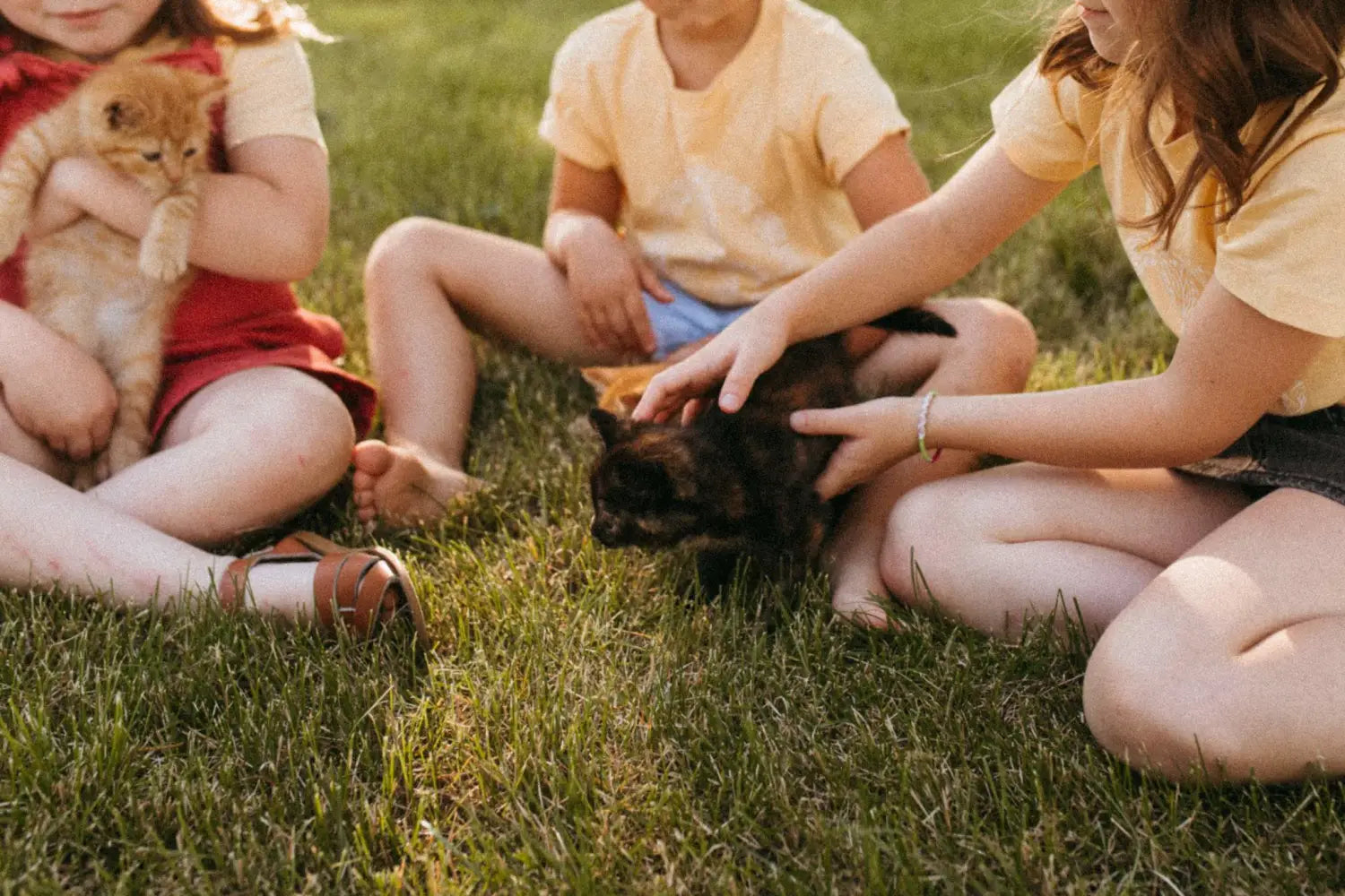 People in a circle on grass petting cats, celebrating the Badass Babes Club vibe.