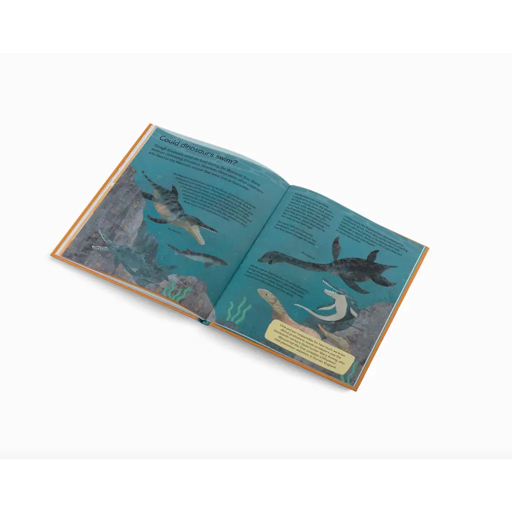 Open book with swimming seals illustrations on turquoise pages in a fun kids book