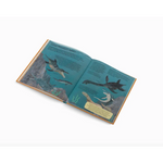 Open book with swimming seals illustrations on turquoise pages in a fun kids book