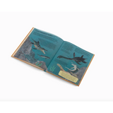 Open book with swimming seals illustrations on turquoise pages in a fun kids book