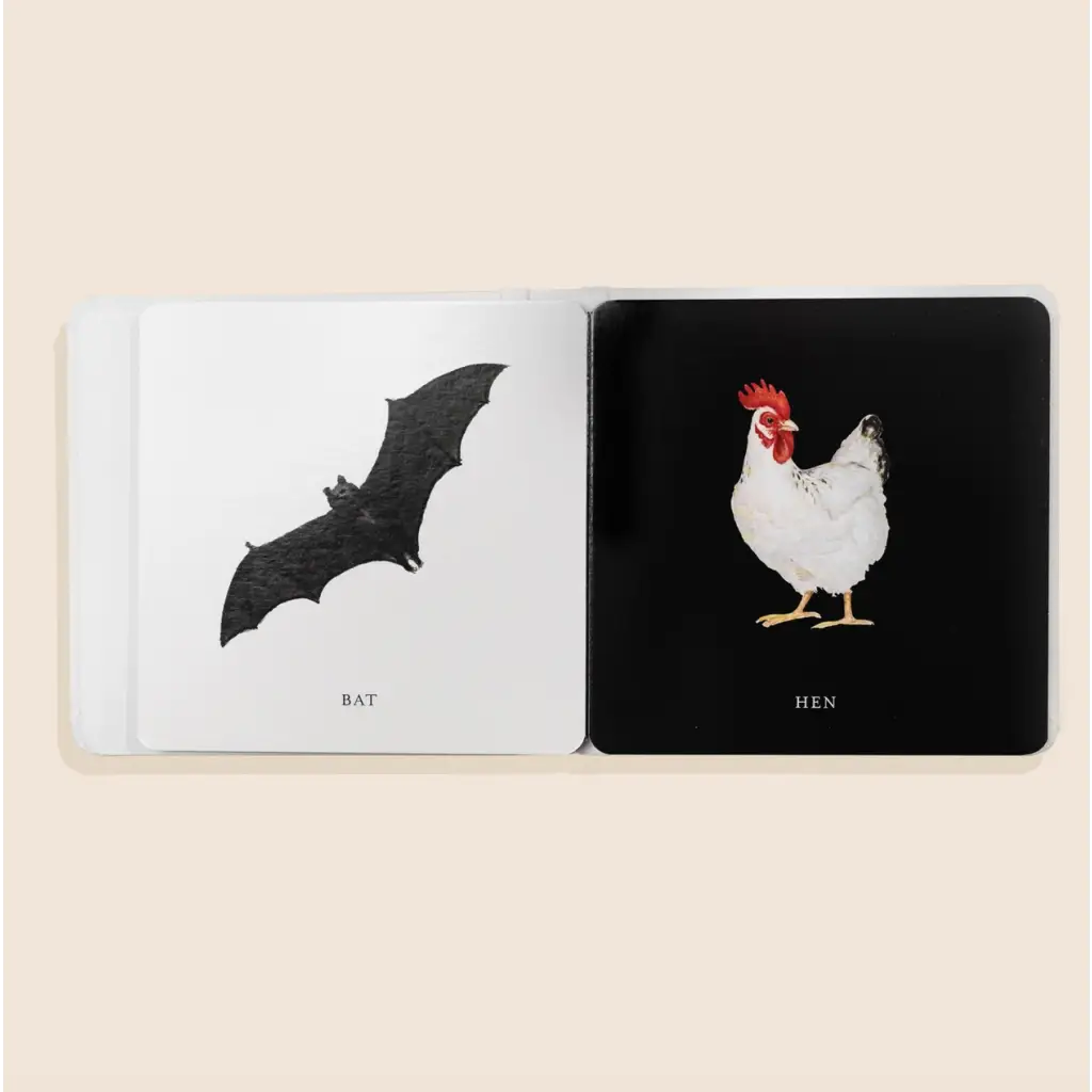 Two flash cards with bat and hen illustrations from the High-Contrast Baby’s Book Box Set