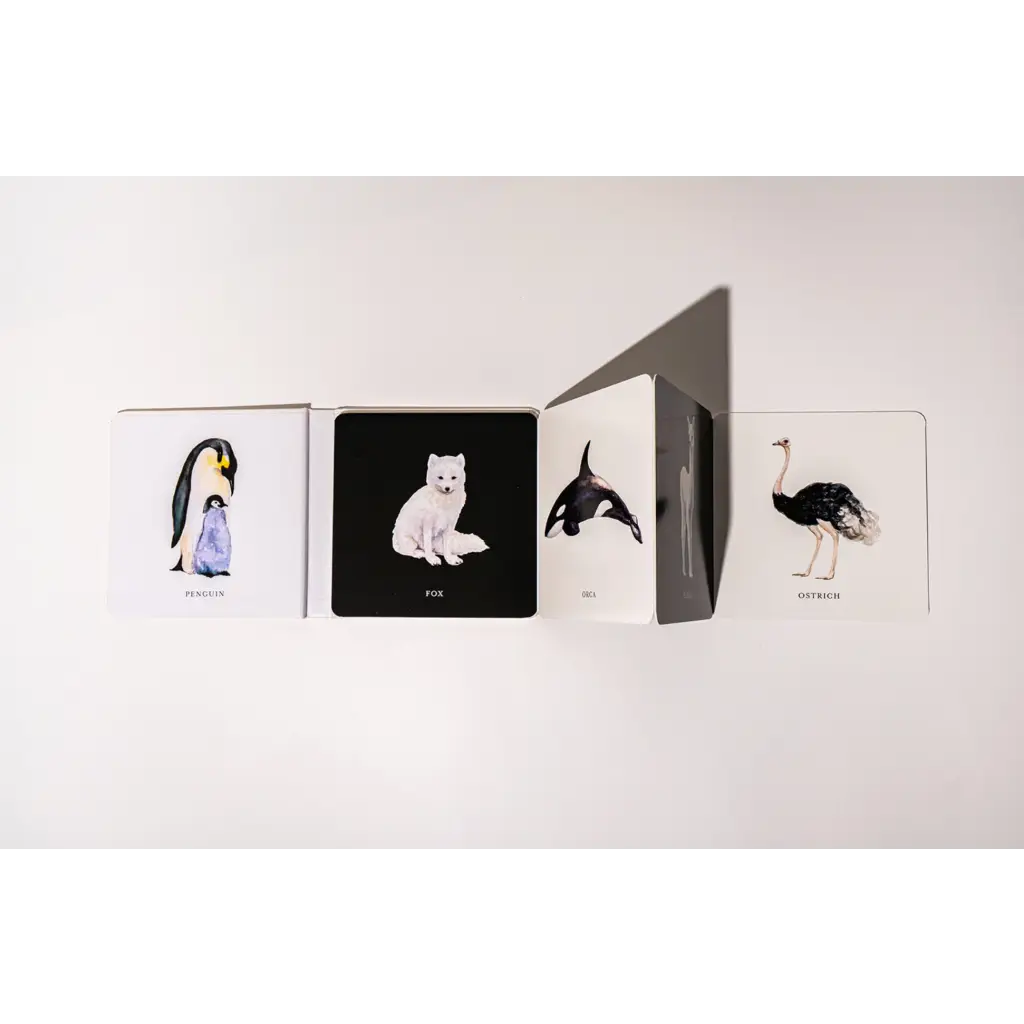 Four minimalist art cards featuring a penguin, cat, orca, and ostrich for baby’s visual development