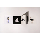 Four minimalist art cards featuring a penguin, cat, orca, and ostrich for baby’s visual development