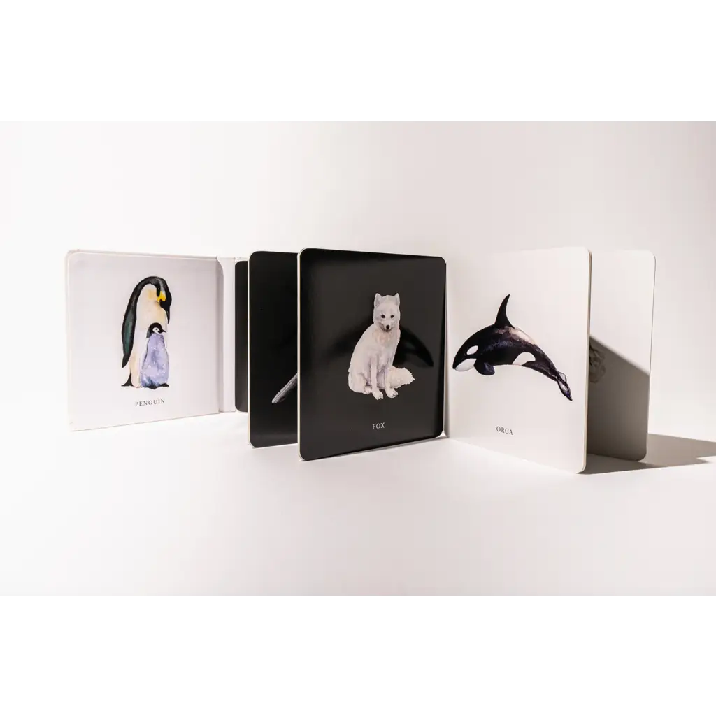 Minimalist Animal Cards for Baby’s Visual Development featuring a penguin, arctic fox, and orca