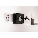 Minimalist Animal Cards for Baby’s Visual Development featuring a penguin, arctic fox, and orca