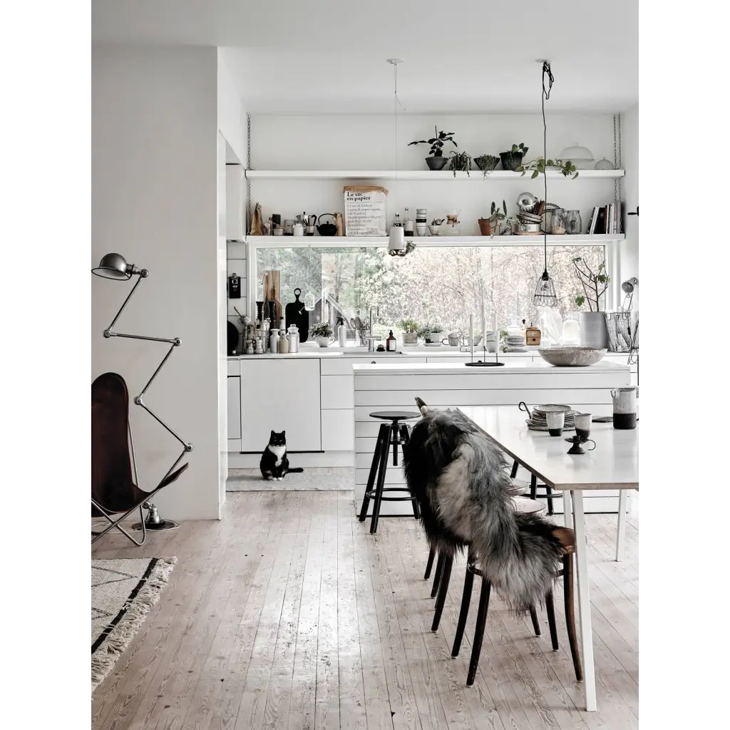 Fluffy grey black dog on table in Happy Homes polished prints