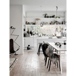 Fluffy grey black dog on table in Happy Homes polished prints