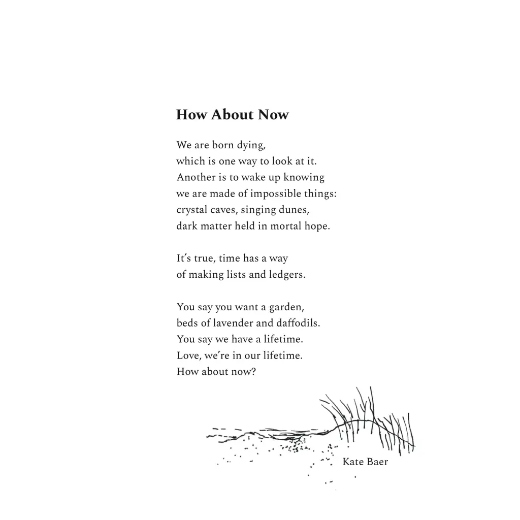 White paper with black text and grass line drawing from Kate Baer’s newest poetry book free shipping