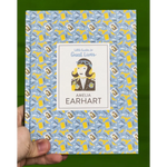 Colorfully illustrated book about Amelia Earhart’s life with fun aviation pattern cover