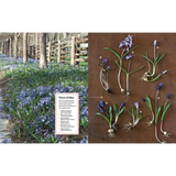 Blue grape hyacinths in Martha Stewart Gardening Handbook polished prints