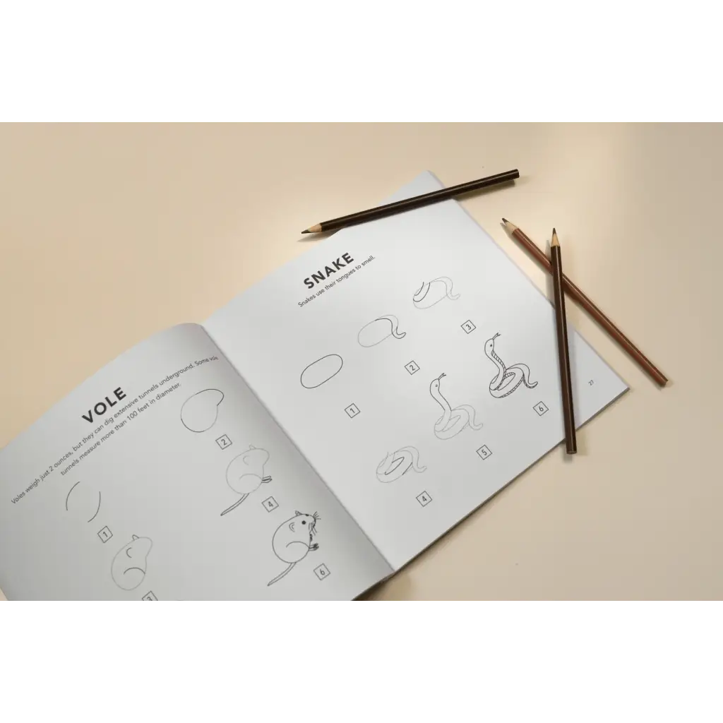 Open notebook with drawings and pencils for 5-minute beginner-friendly drawing lessons