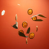 Vibrant orange dried citrus slices with green leaves on red background for Orange Coriander hand sanitizer