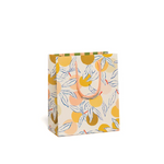 Yellow and orange citrus-themed gift bag with green leaves and rope handles for stylish womens clothes