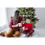 Red plaid Santa’s Milk & Cookies mug with cookie slot